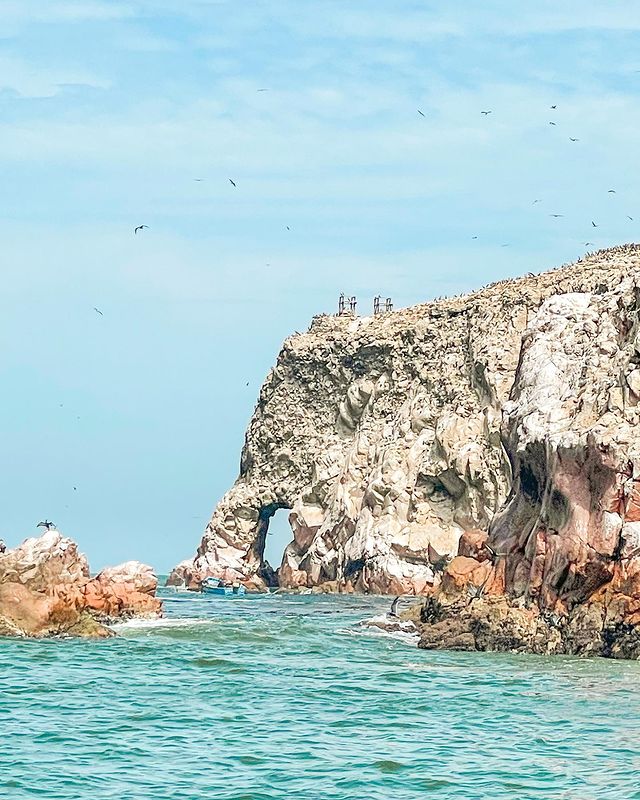 islas ballestas