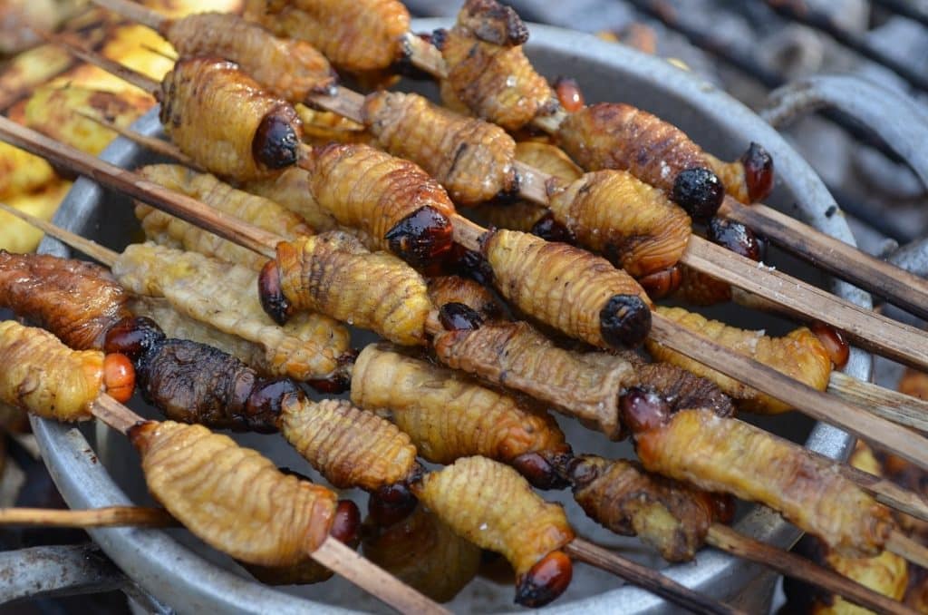 Brochetas de suri