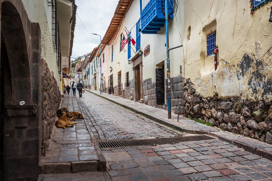 Vista diurna de la Calle Suecia. Algunas personas suben la cuesta, y hay canes descansando en la sombra que otorga la calle.