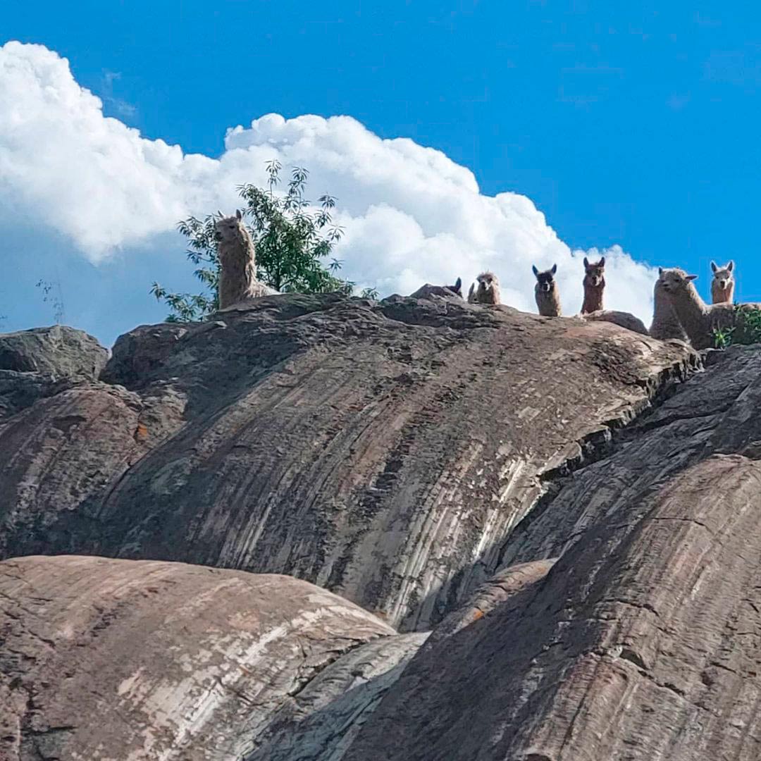 Rodaderos de Sacsayhuaman, bajo un cielo azul con algunas nubes