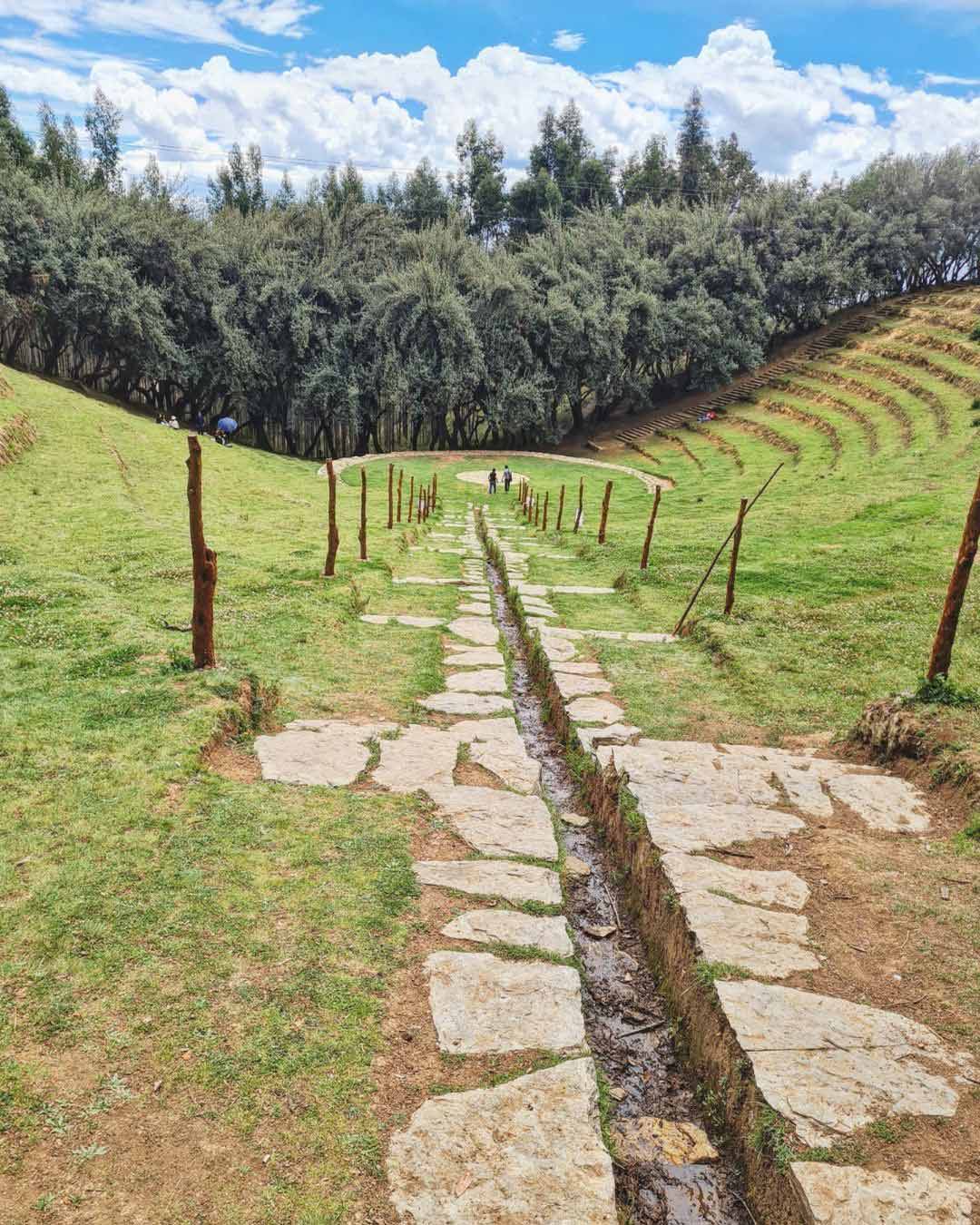 Vista de un sector del Bosque Dorado, en Huancayo