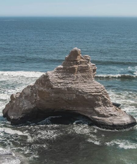 Tour Islas Ballestas Full Day