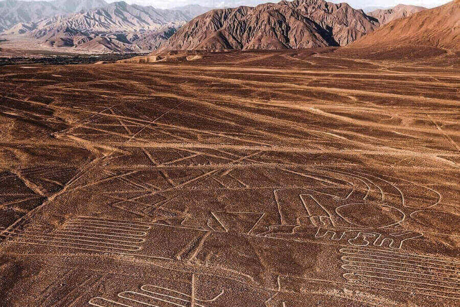 Nazca Lines drawings