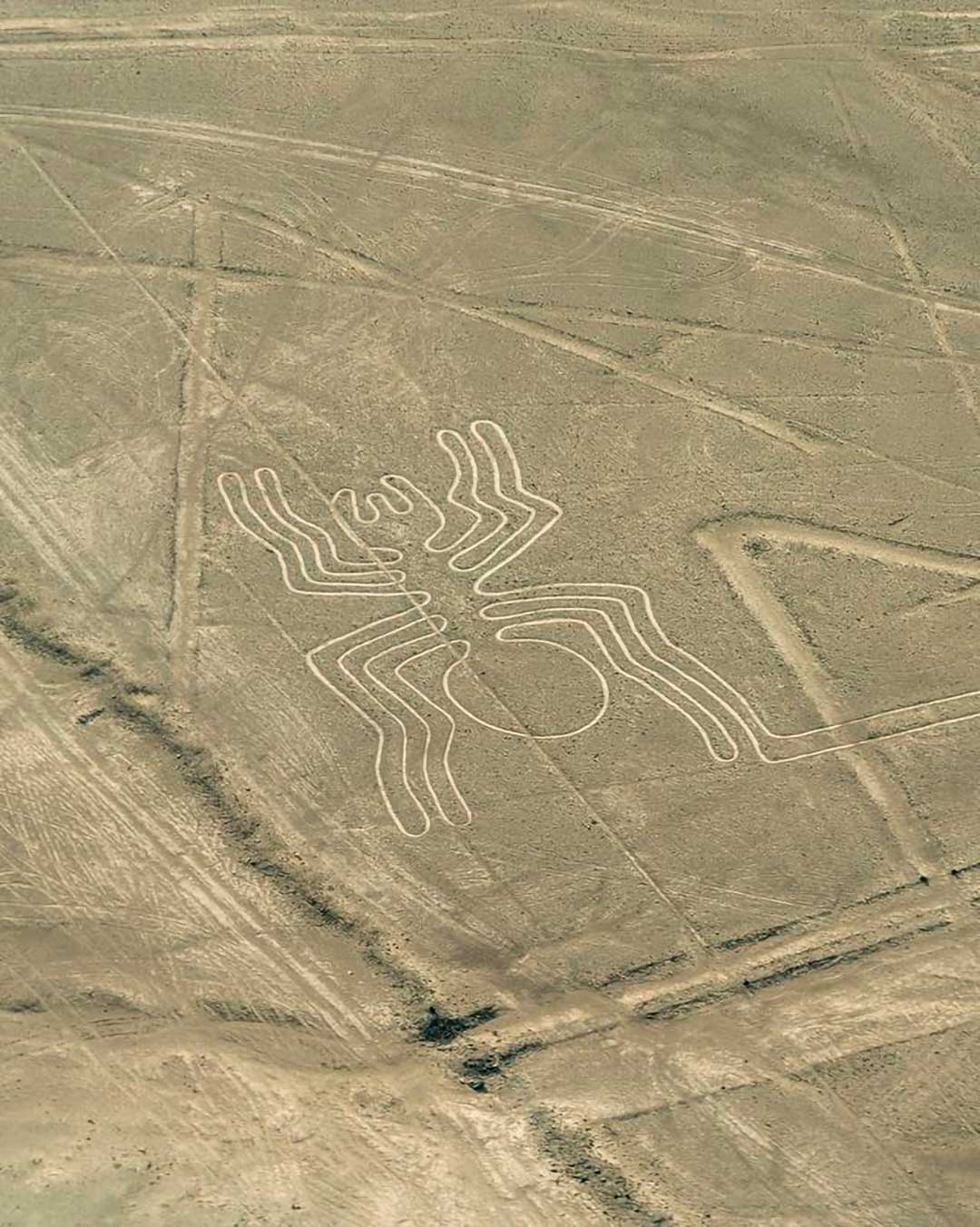 Líneas de Nazca LÍNEAS DE NAZCA VISTAS DESDE EL CIELO