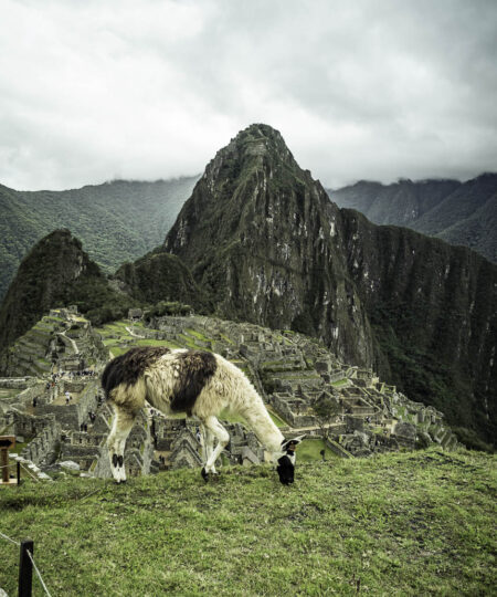 Machu Picchu Ruta Amazónica 2 días 1 noche