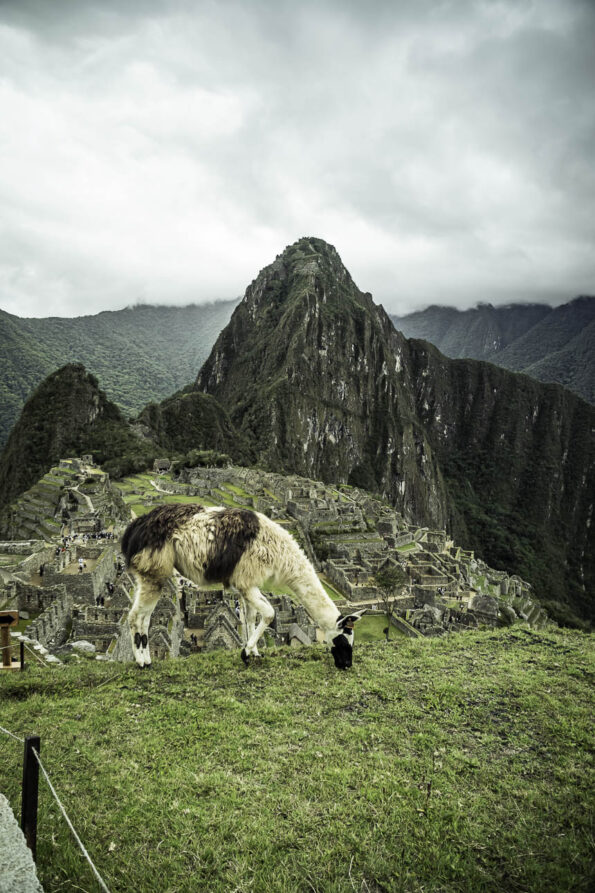 Machu Picchu Ruta Amazónica 2 días 1 noche