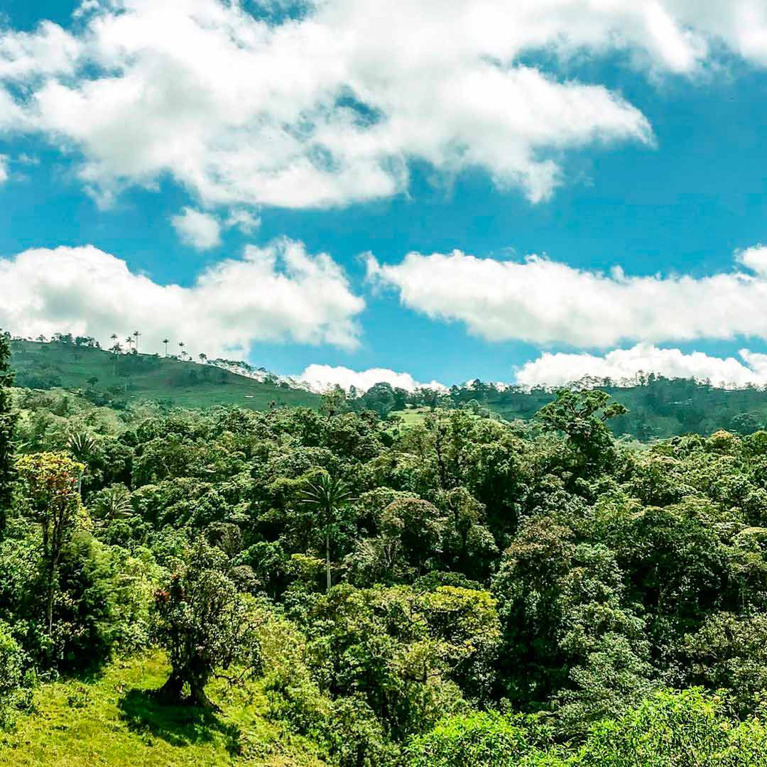 Parque Nacional de Cutervo, Paisajes del Perú, Beautiful Peru, VIsit Peru, Mejores paisajes naturales del Perú