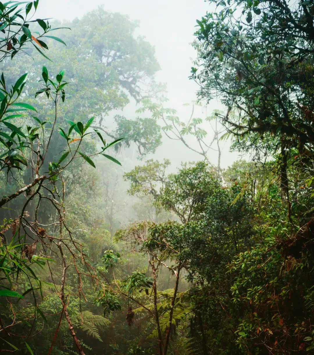 Parque Nacional del Manu, Paisajes del Perú, Beautiful Peru, VIsit Peru, Mejores paisajes naturales del Perú