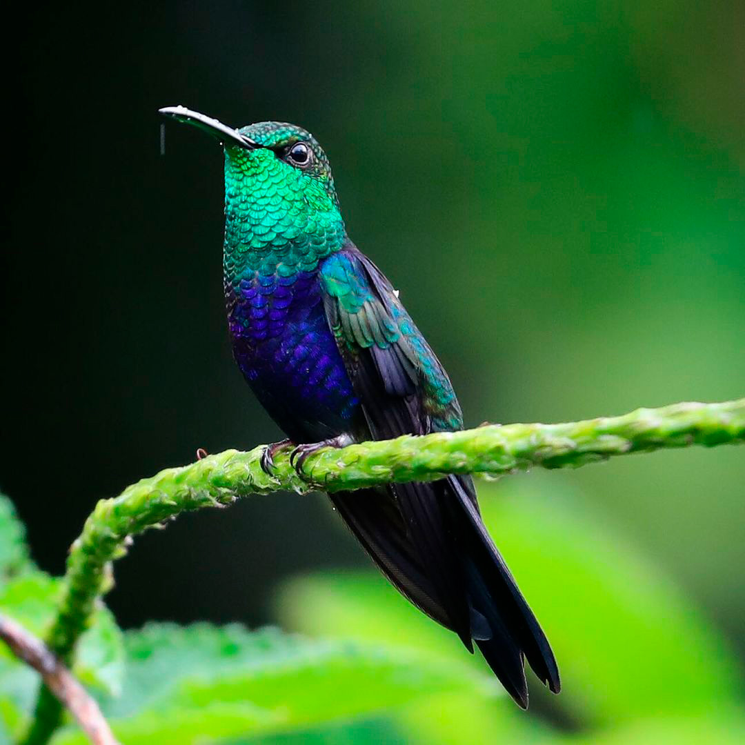 Parque Nacional del Manu, Paisajes del Perú, Beautiful Peru, VIsit Peru, Mejores paisajes naturales del Perú