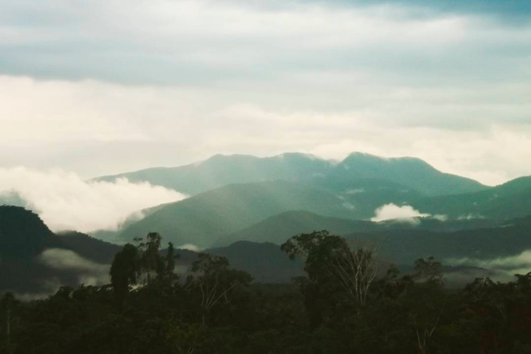 Parque Nacional de Ichigkat Muja "Cordillera del Cóndor", Paisajes del Perú, Beautiful Peru, VIsit Peru, Mejores paisajes naturales del Perú