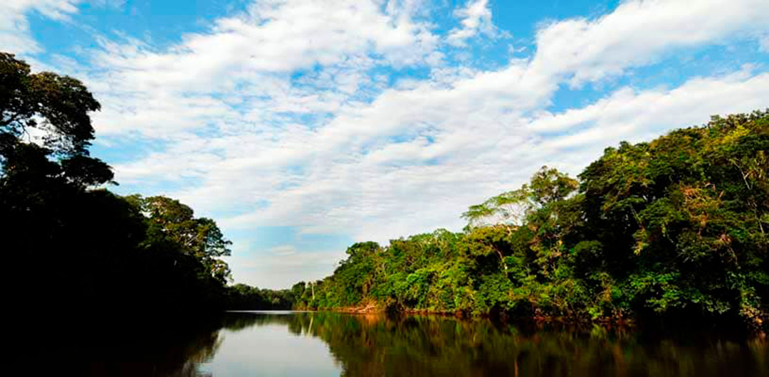 Parque Nacional Gueppi - Sekime, Paisajes del Perú, Beautiful Peru, VIsit Peru, Mejores paisajes naturales del Perú