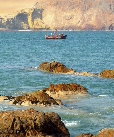 Tour Islas Ballestas y Paracas desde Ica