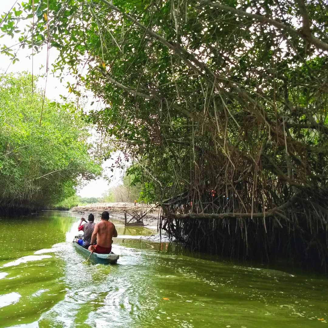 Hombres remando en un bote en el santuario Nacional de los Manglares de Tumbes