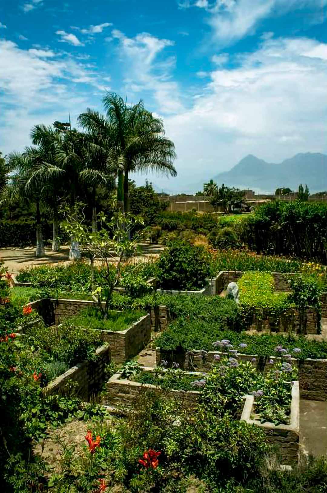 Vista diurna del Museo Jardín de los Sentidos 