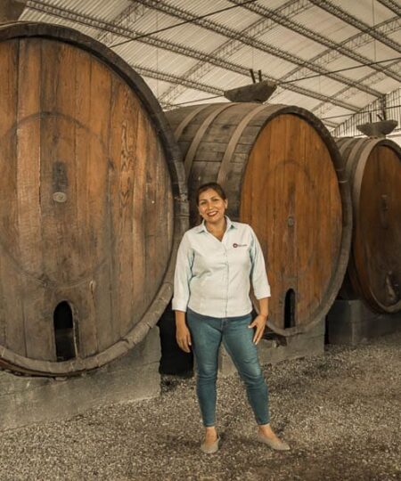 Tour dei Vigneti in Ica Perú