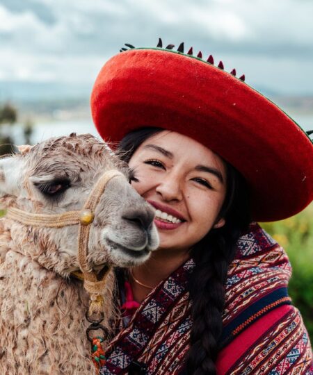 alpacas & llamas vibes