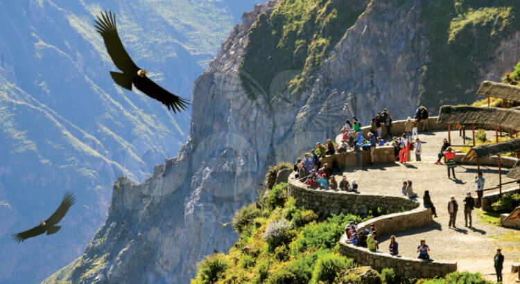 Cañón del Colca en Arequipa