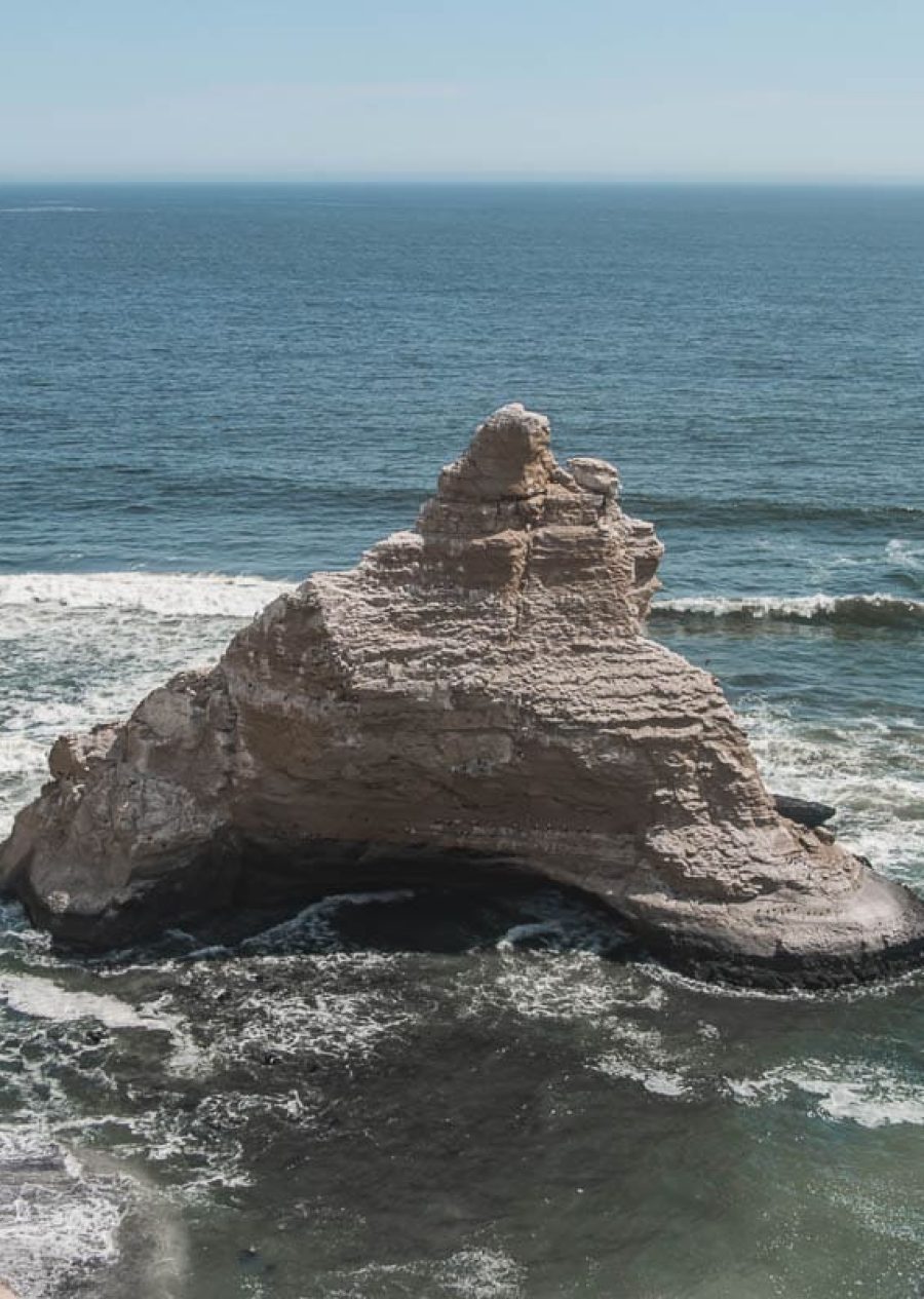 Tour Islas Ballestas Full Day