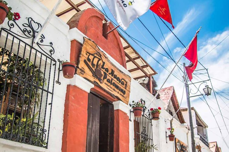 La Nueva Palomino La Nueva Palomino