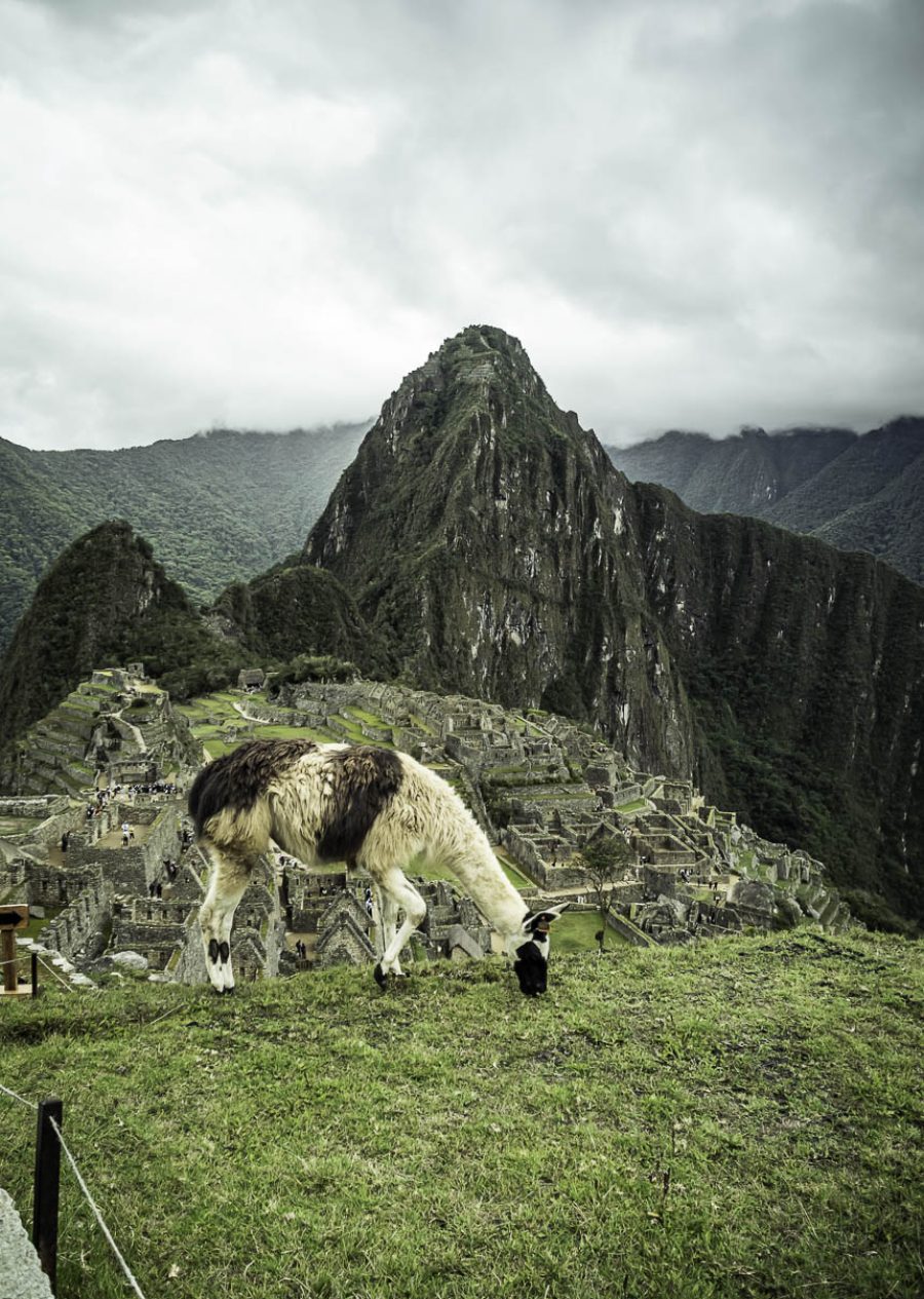 Machu Picchu Ruta Amazónica 2 días 1 noche