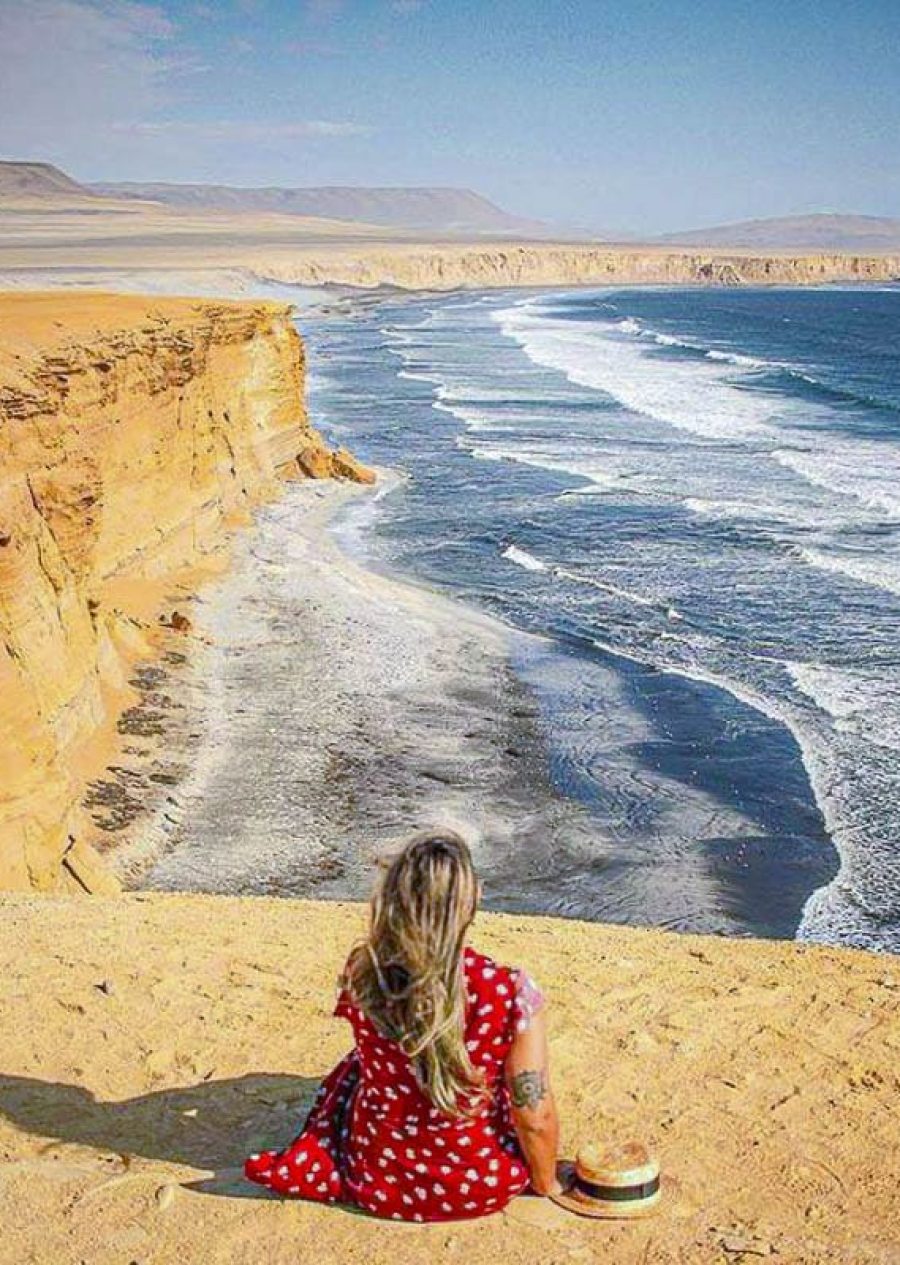 Tour Islas Ballestas y Paracas desde Ica