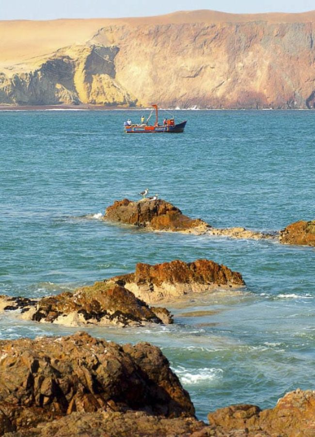 Tour Islas Ballestas y Paracas desde Ica