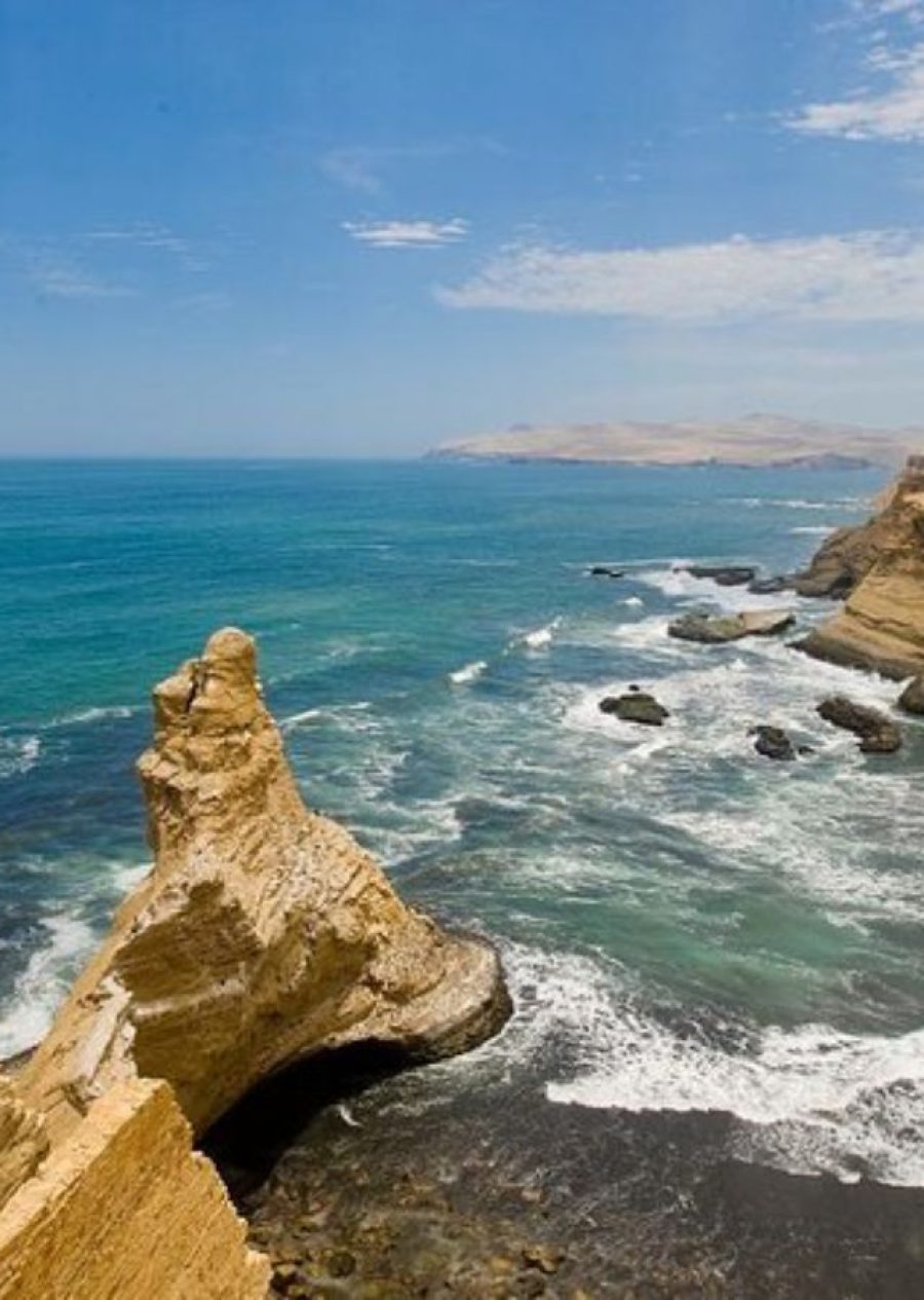 Reserva Nacional de Paracas
