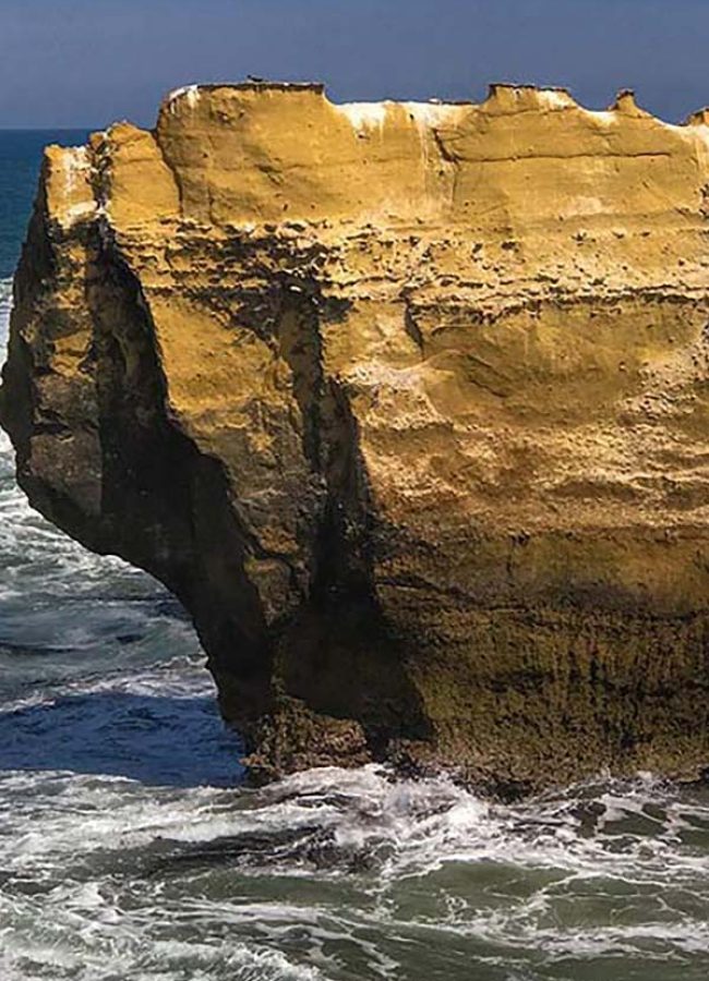 Reserva-Punta-San-Juan-3-(Verticall-900x600)
