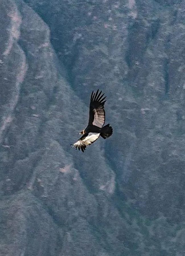 VERTICAL2--(600X900)