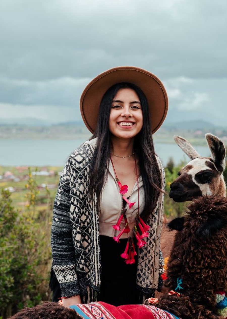 alpacas & llamas vibes