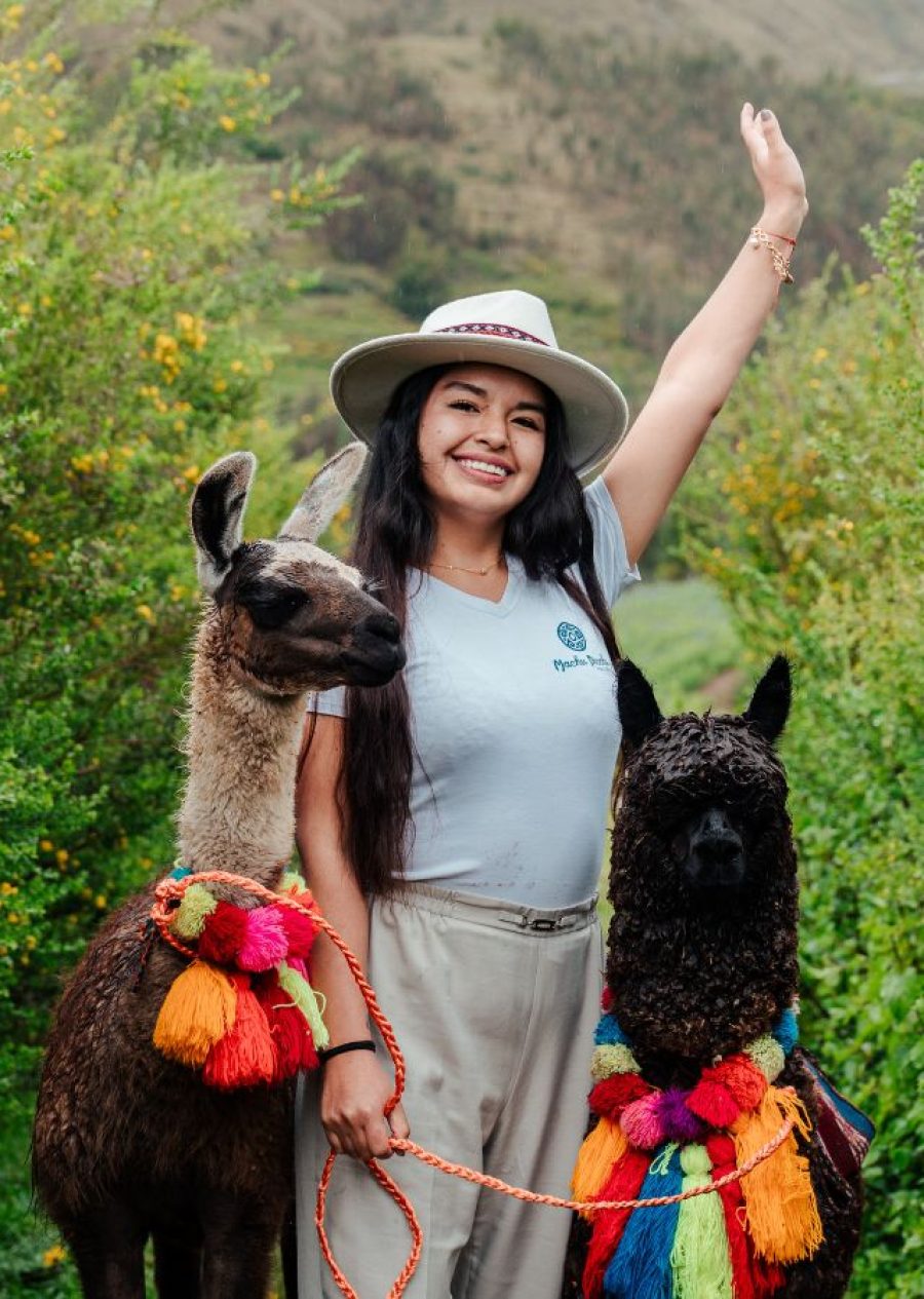 alpacas & llamas vibes