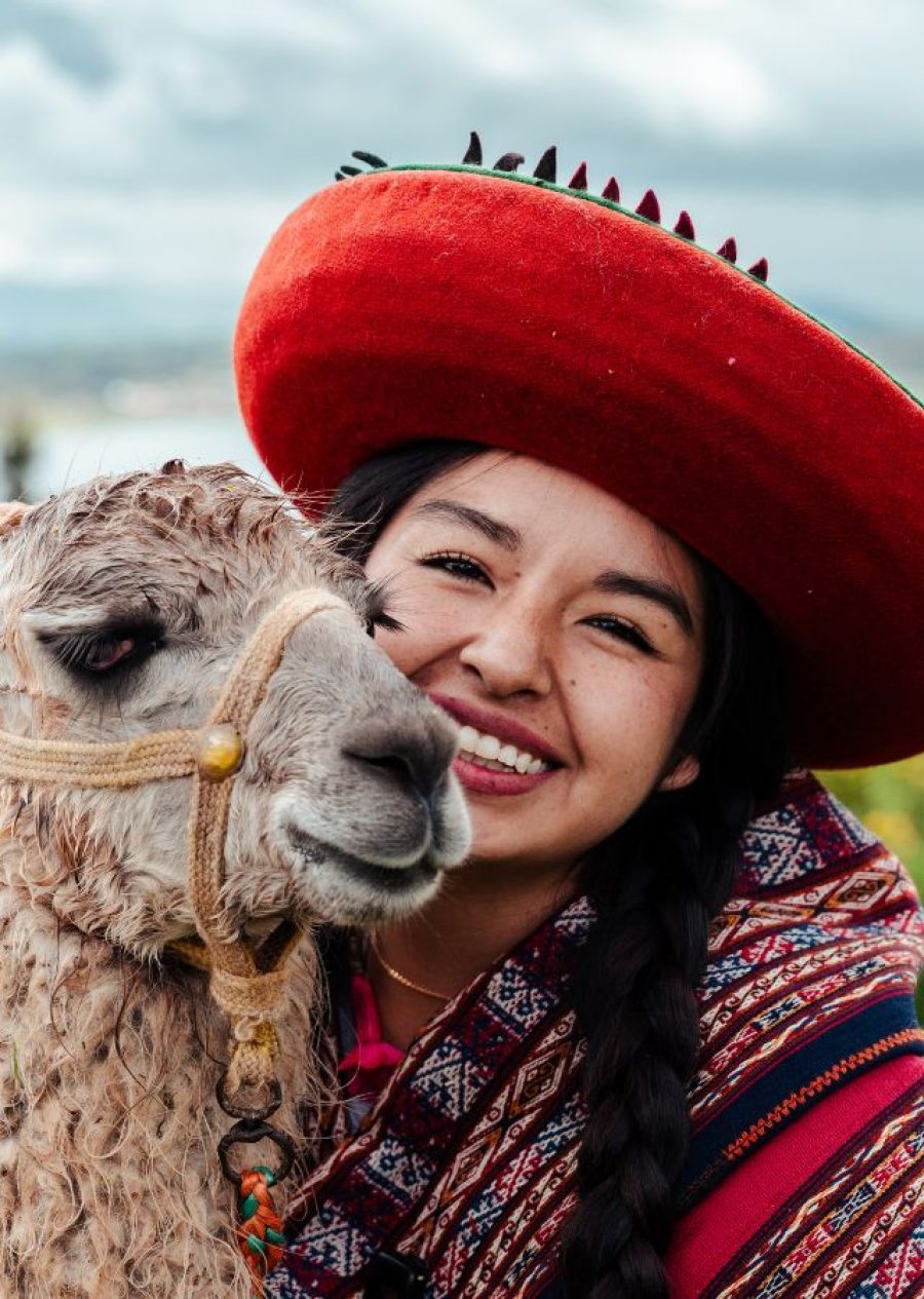 alpacas & llamas vibes