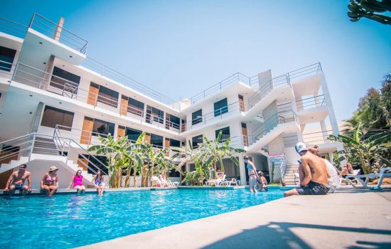 Carola Lodge
