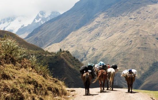 Paseo a caballo Cusco