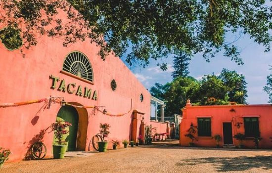 Ruta del Pisco, bodegas y viñedos en Ica 2023