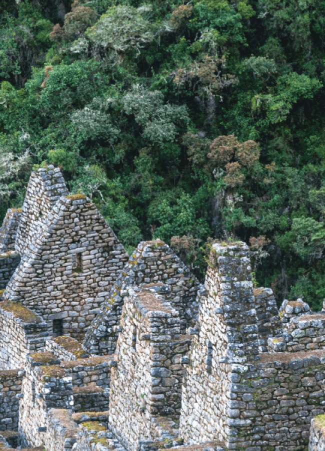 Inca Jungle a Machu Picchu