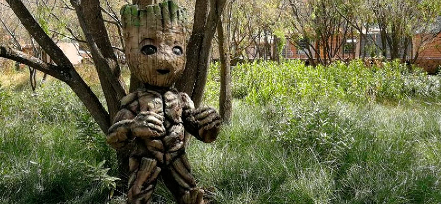 En el Humedal de Huasao podrás observar a Groot y otros personajes de la película Avengers y Señor de los Anillos