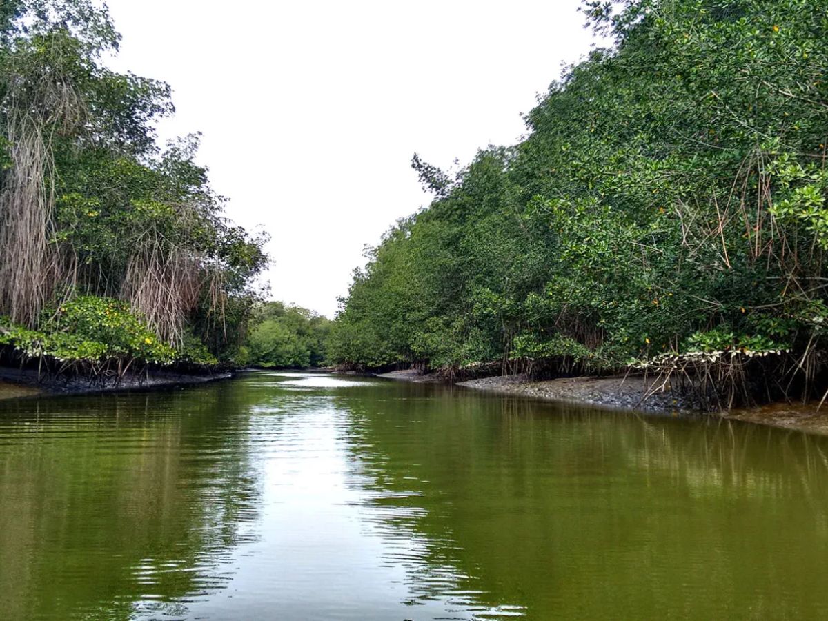 lugares para visitar en tumbes 