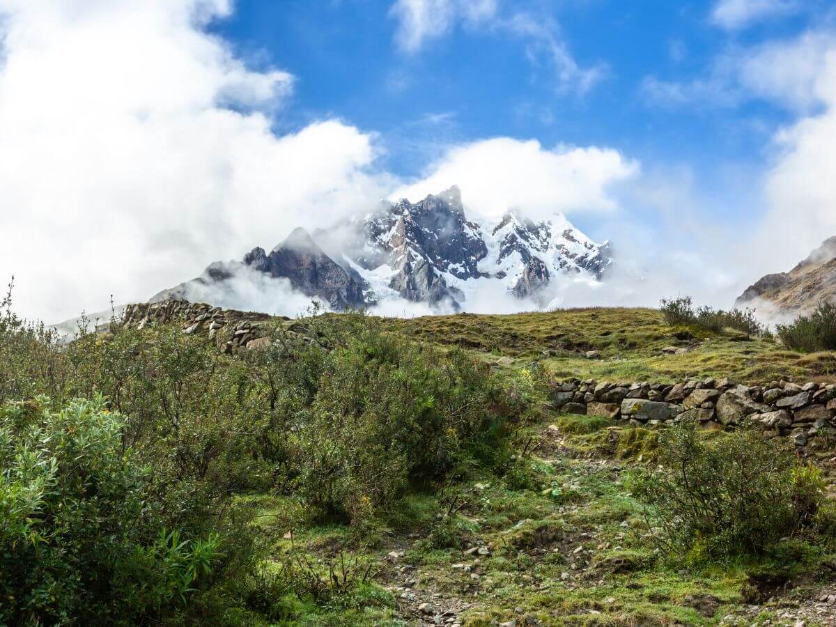 salkantay trek flora