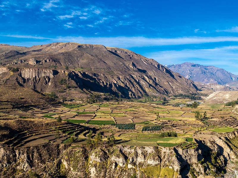 Cañon del colca